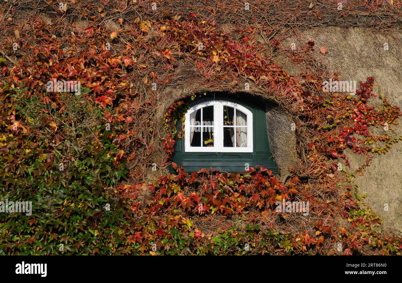 Autumn thatched roof Stock Photo - Alamy