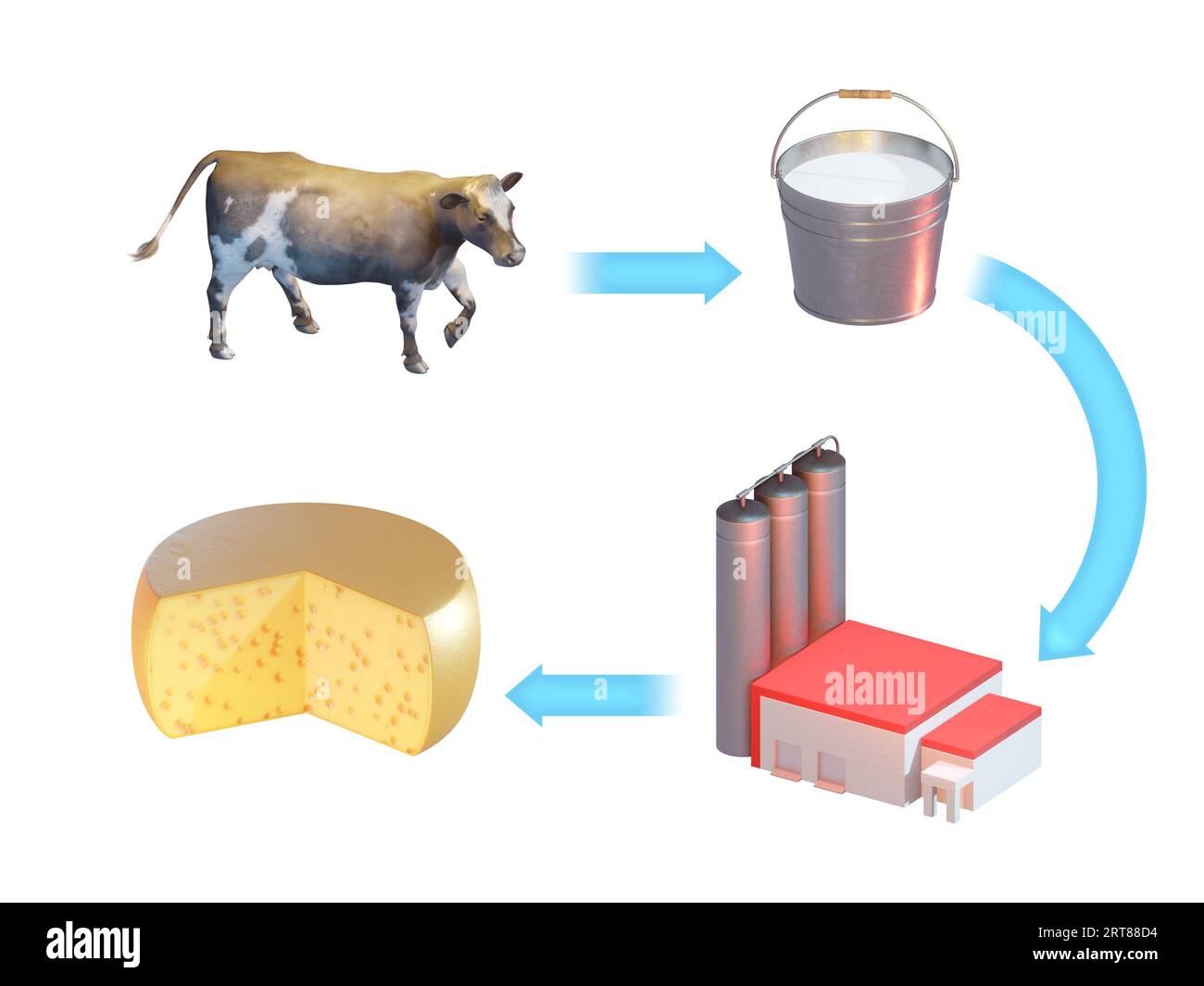 From cow's milk to cheese production. Digital illustration, 3D render. Stock Photo