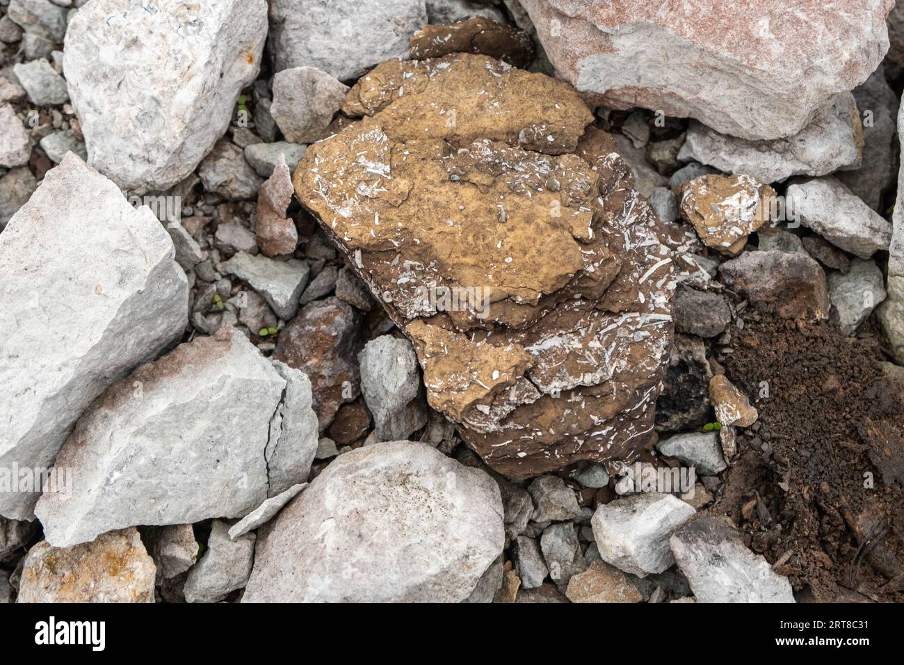 Oil shale stone, background. Sedimentary rocks rich in kerogen. The