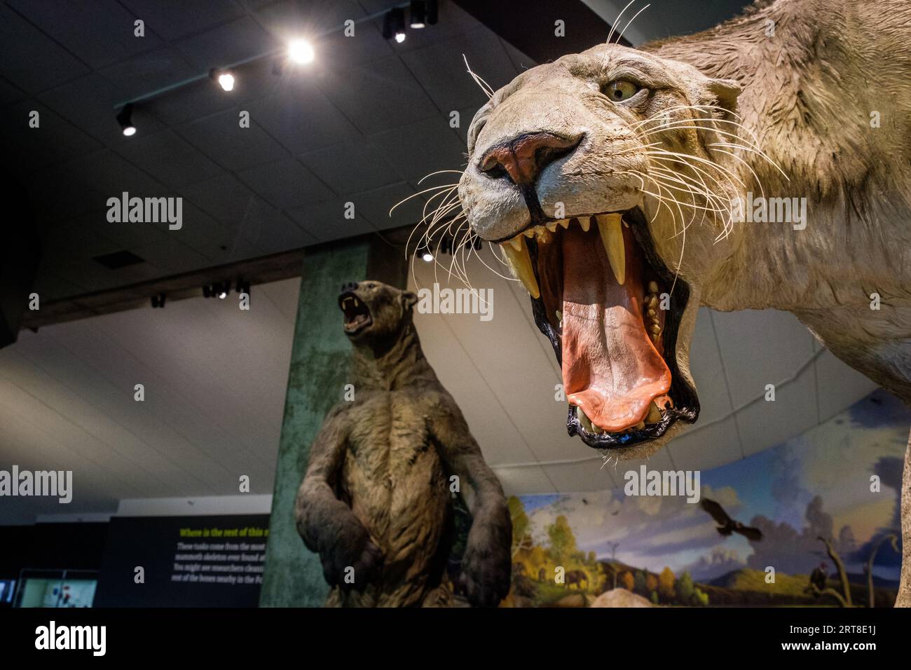 Animal likenesses at La Brea Tar Pits Museum in Los Angeles, California