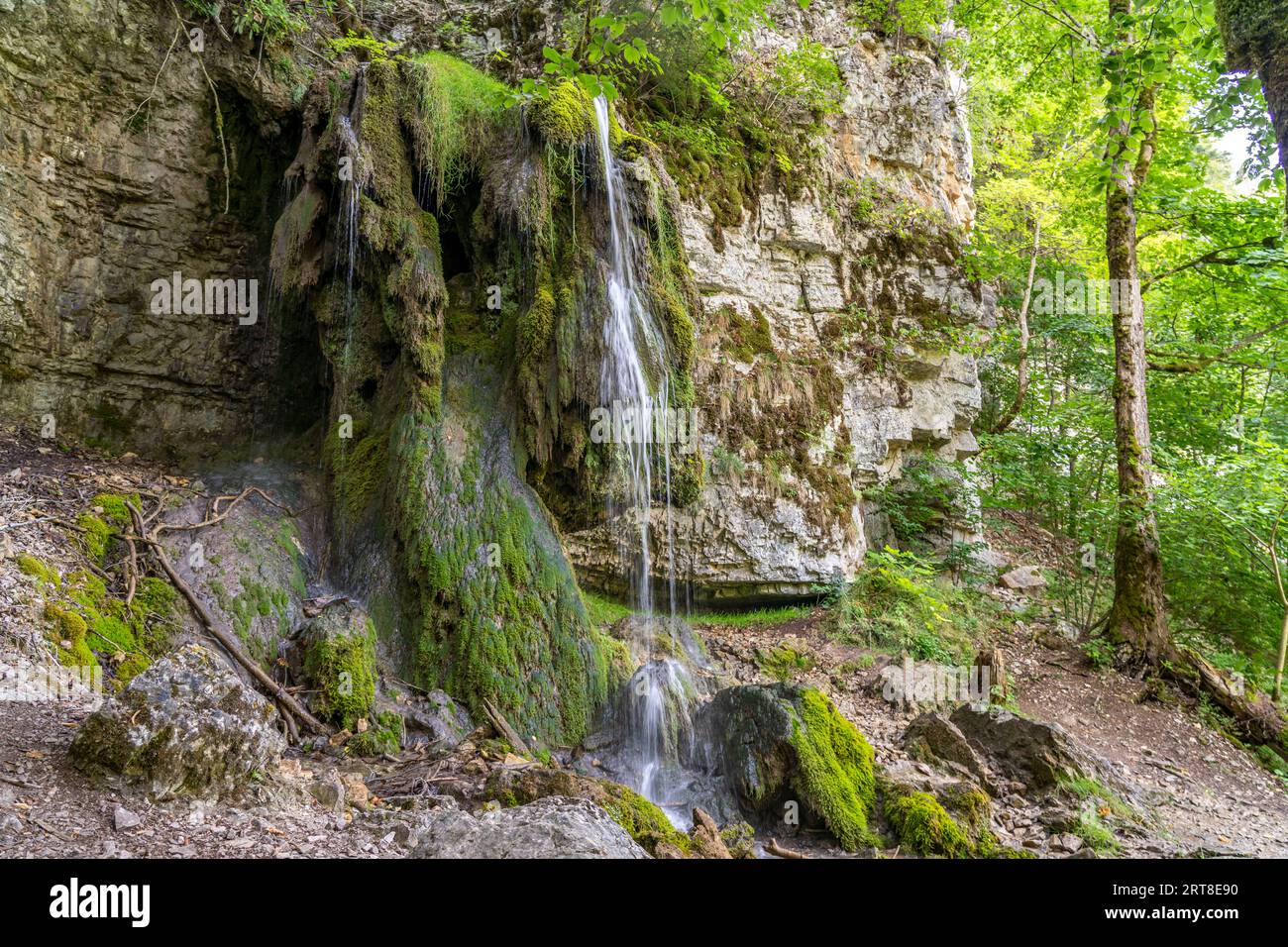 Der Tannegger Wasserfall in der Wutachschlucht, Schwarzwald, Baden-Württemberg, Deutschland |   Tannegger waterfall at the Wutach Gorge, Black Forest, Stock Photo