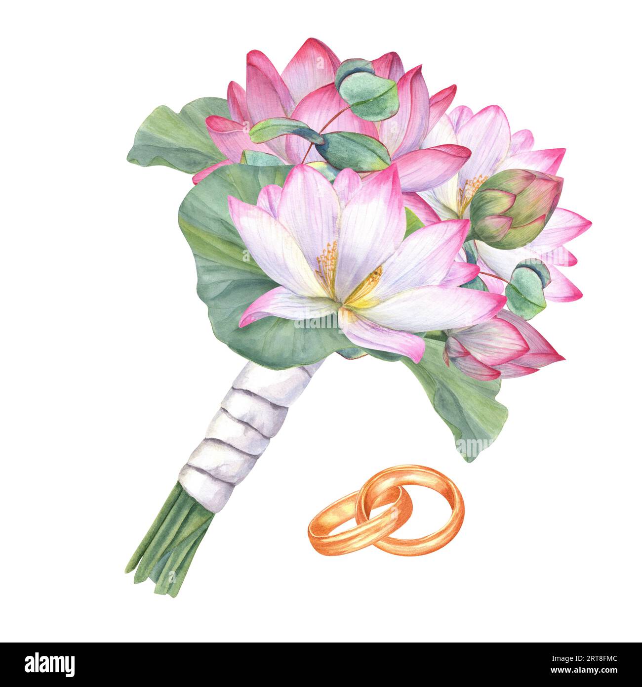 Wedding bouquet with white pink lotuses and eucalyptus. Blooming water lily, buds, green leaves, gold rings. Lovely boutonniere with satin ribbon. Stock Photo