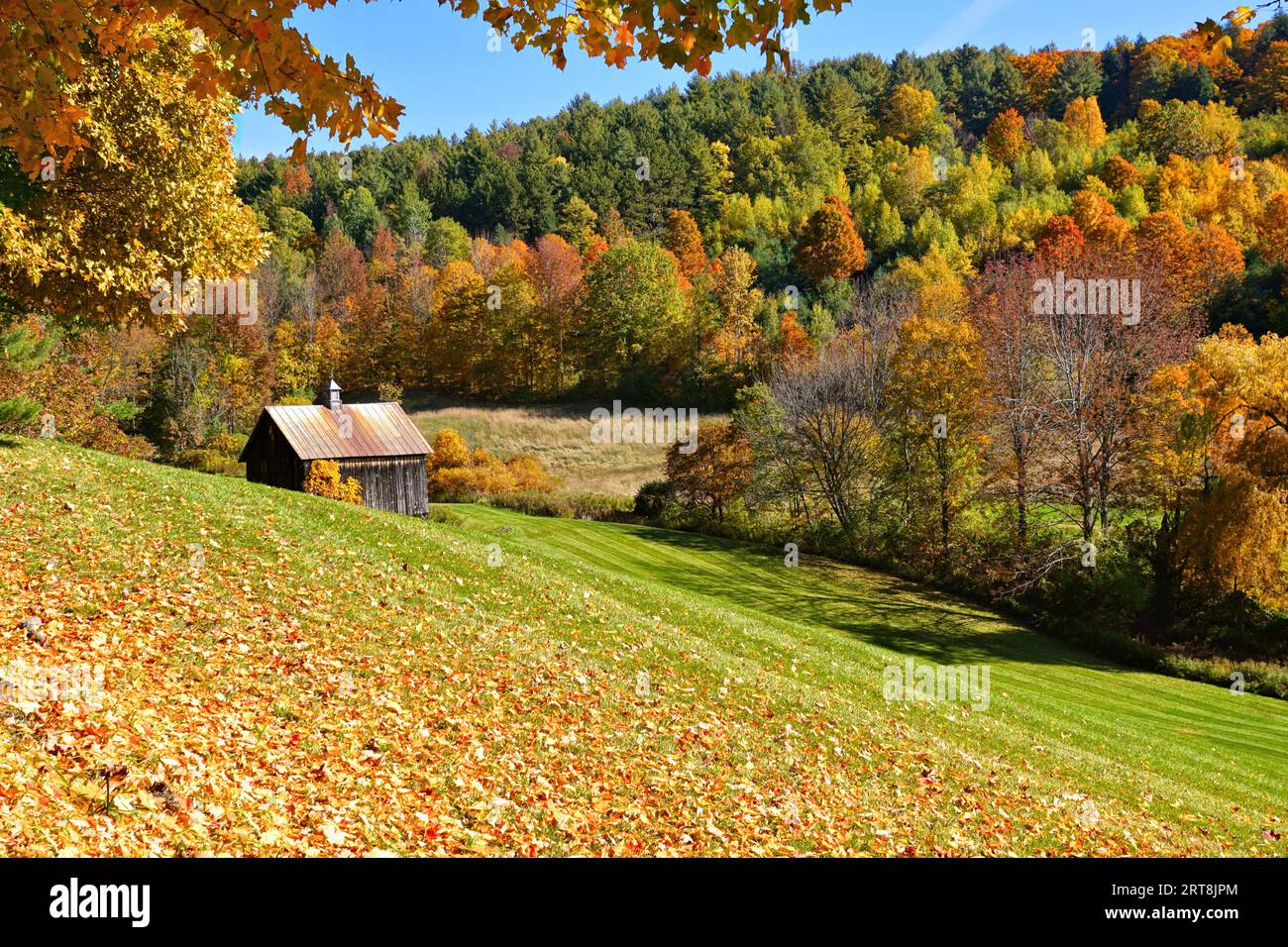 Autumn countryside with colorful fall leaves and rustic wooden barn near Woodstock, Vermont, USA Stock Photo