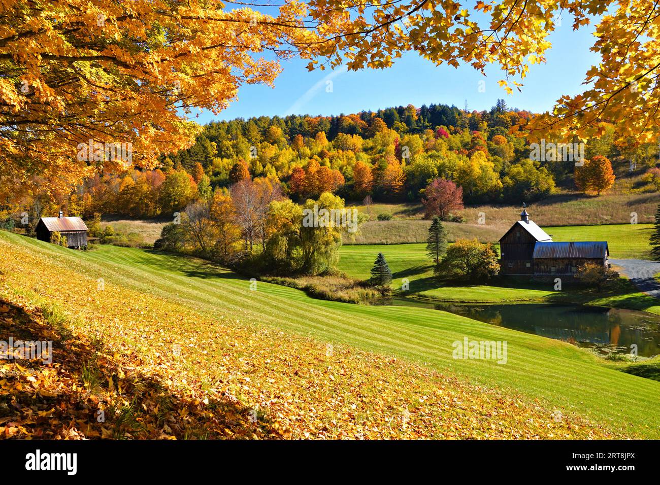 Autumn countryside with frame of colorful leaves and rustic wooden barns near Woodstock, Vermont, USA Stock Photo