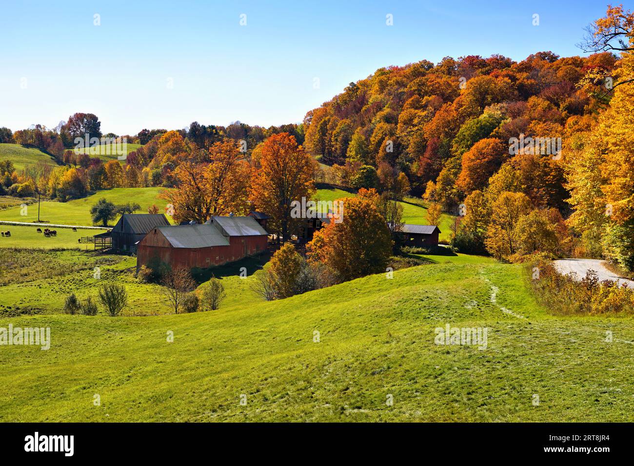 Autumn countryside with rustic red wooden barns and colorful fall leaves near Woodstock, Vermont, USA Stock Photo