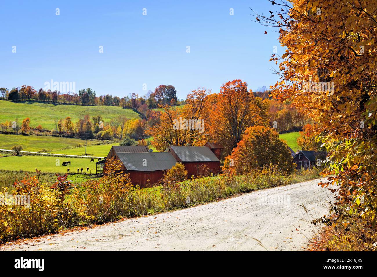 Autumn countryside with rustic red wooden barns and colorful fall leaves near Woodstock, Vermont, USA Stock Photo