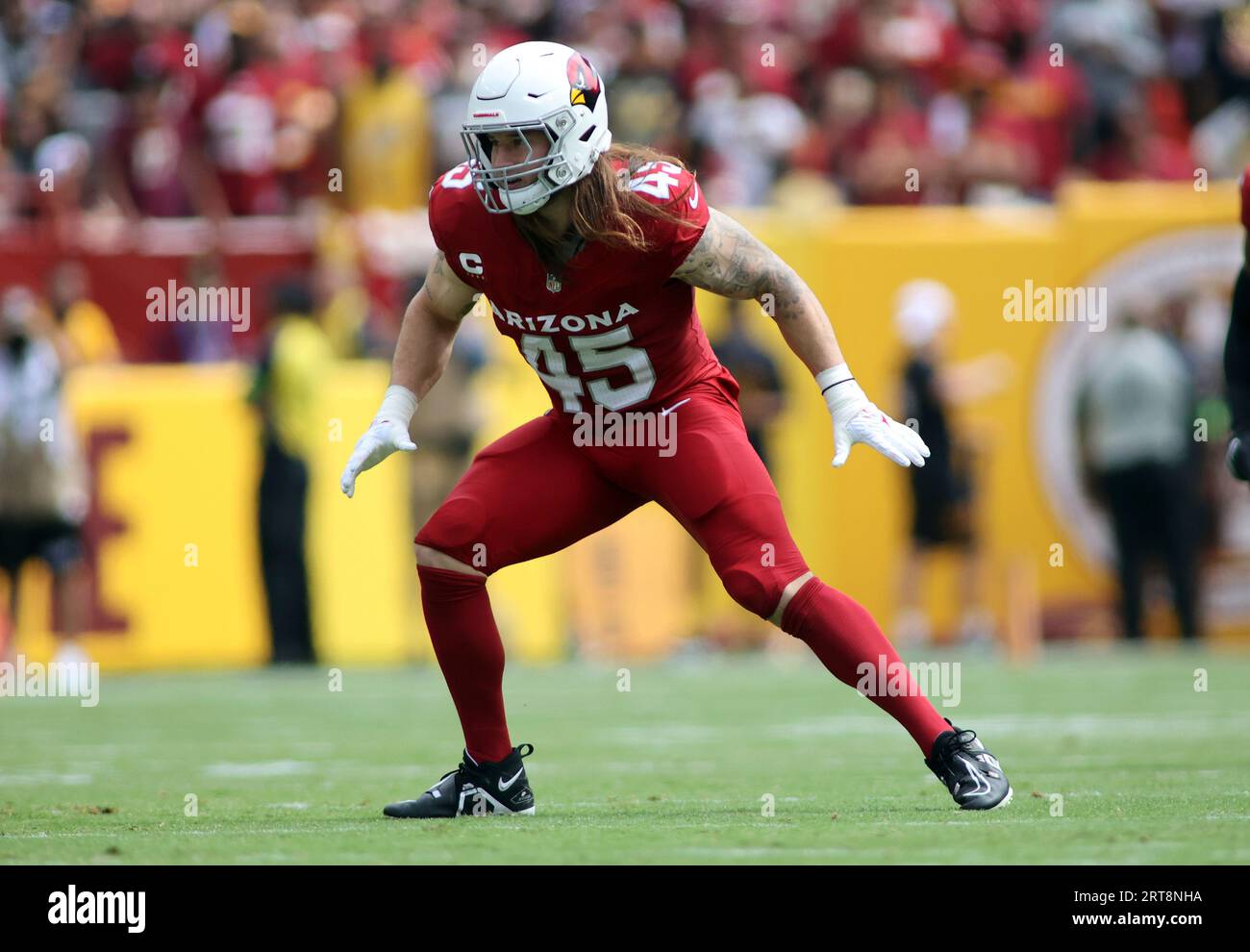 Arizona Cardinals linebacker Dennis Gardeck (45) runs during an NFL  football game against the Washington Commanders, Sunday, September 10, 2023  in Landover, Maryland. (AP Photo/Daniel Kucin Jr Stock Photo - Alamy