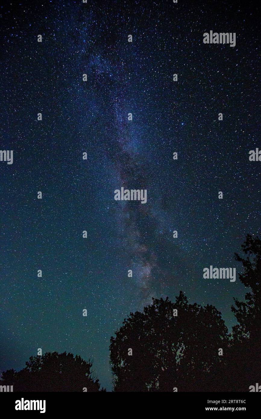 Magic view in night sky - Milky Way Galaxy over forest Stock Photo - Alamy