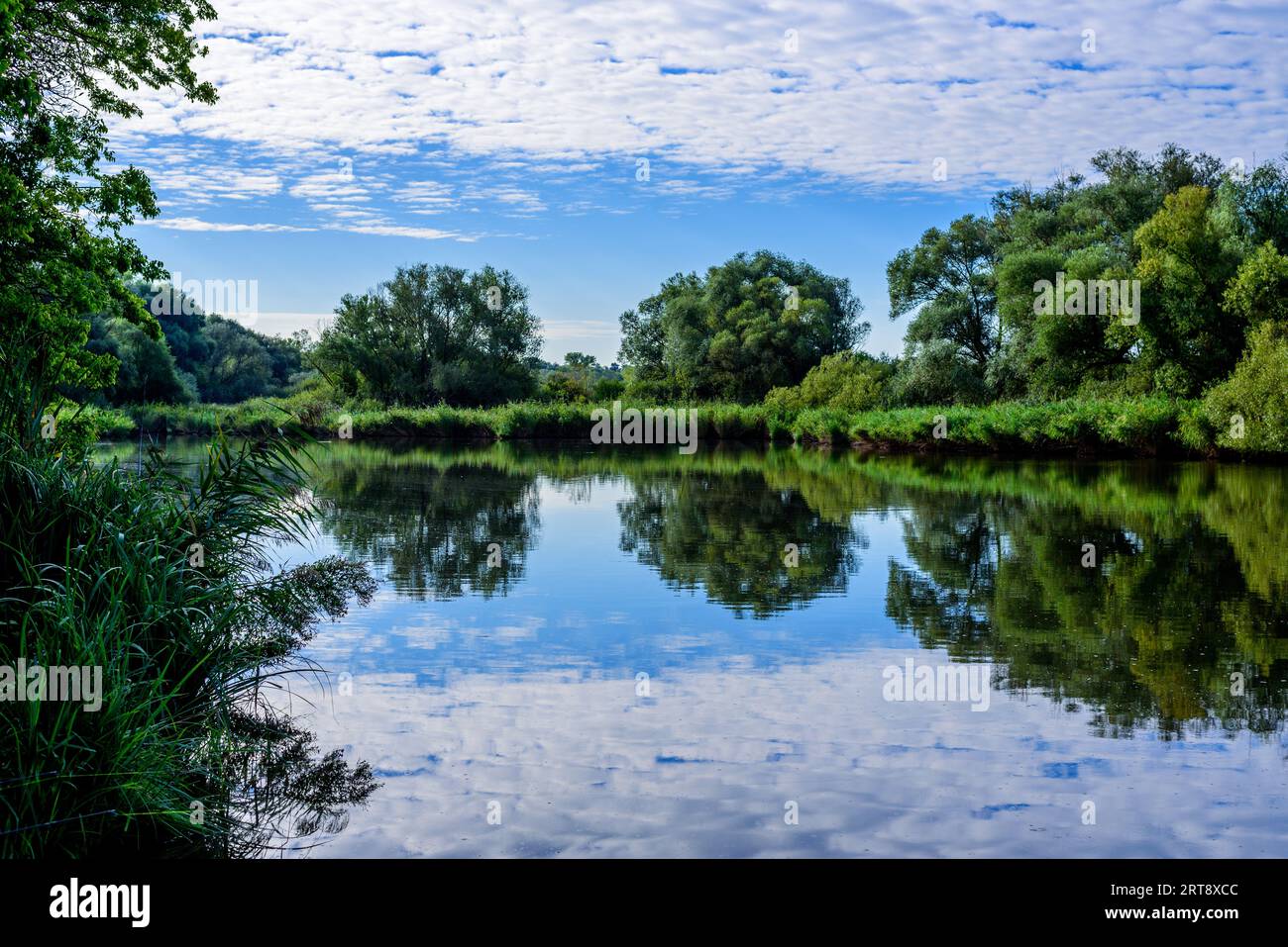 Lake and green forest hi-res stock photography and images - Alamy