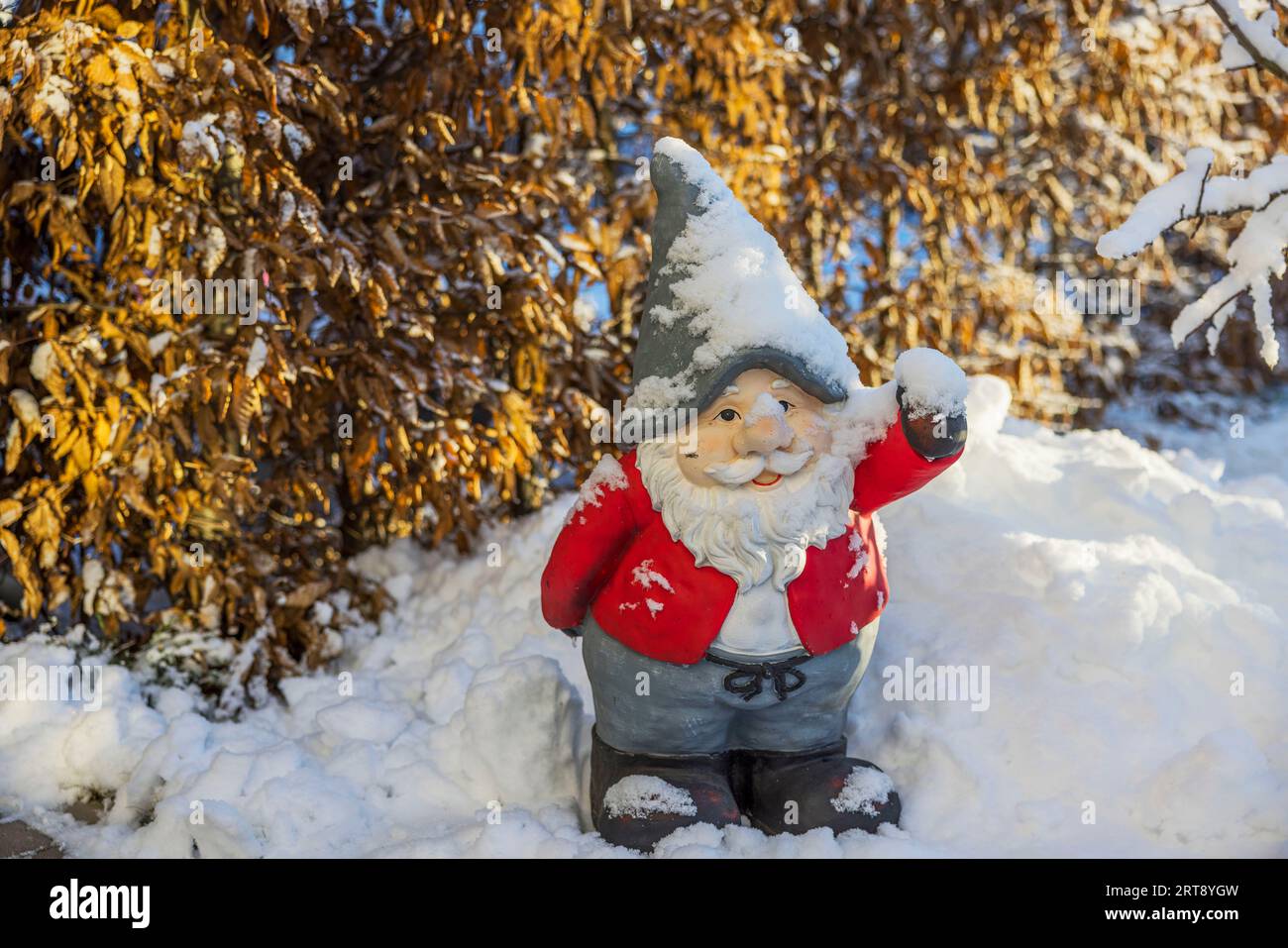 Beautiful view of smiling figure of gnome Santa Claus standing in snow ...