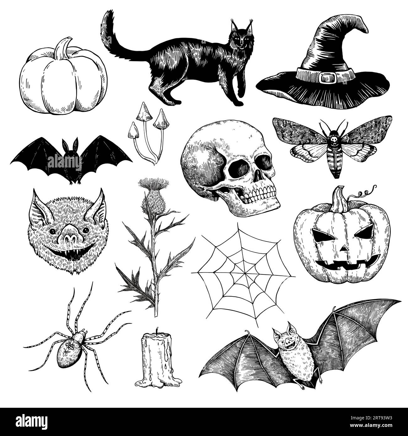 Big set of black and white halloween illustrations. Ink drawing of ...