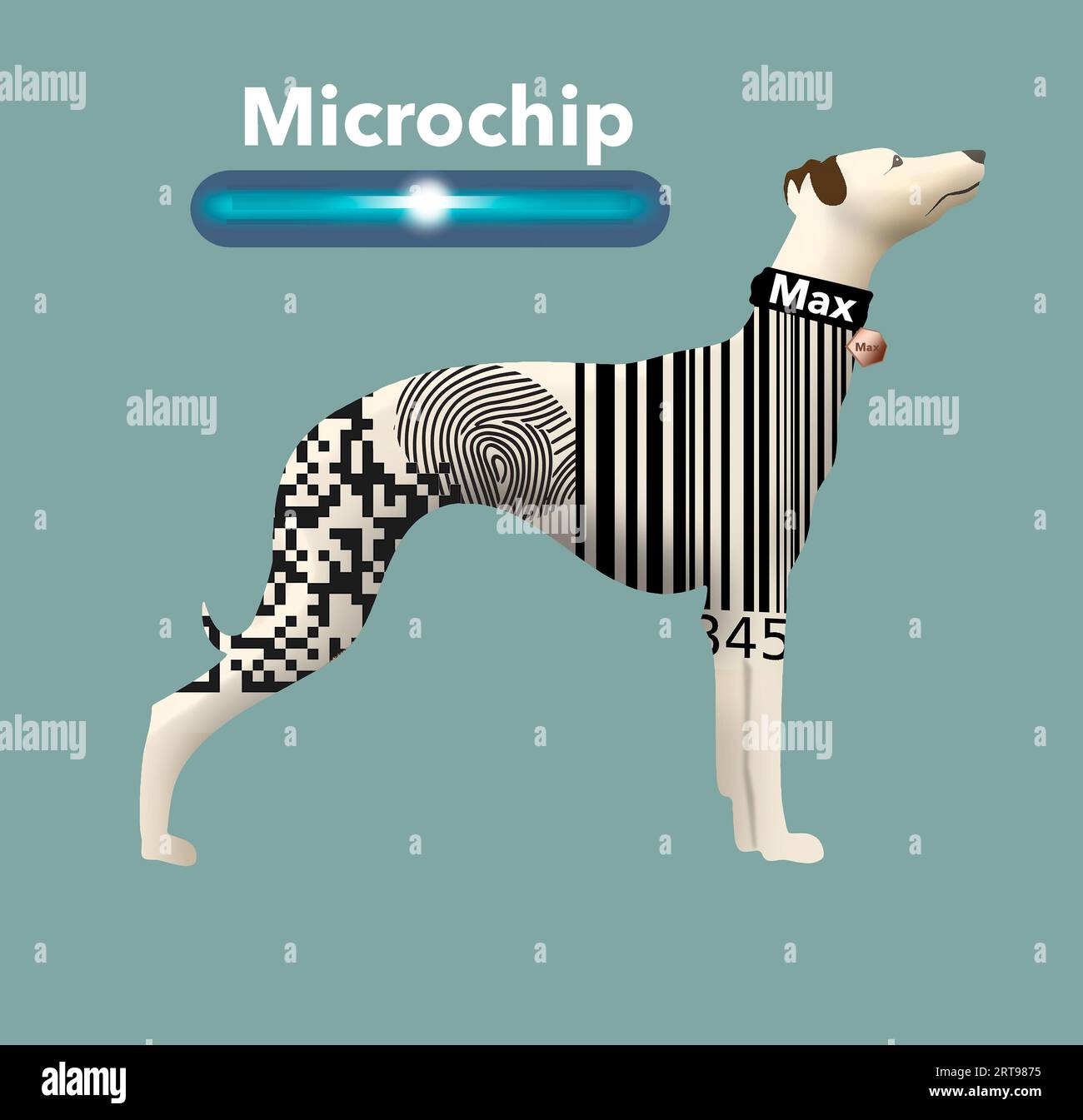 Identichip collar hot sale tag