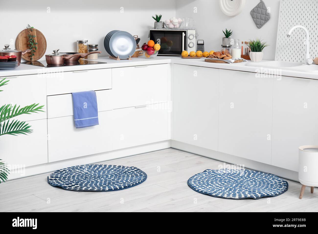 Interior of modern kitchen with stylish rugs and white counters Stock ...