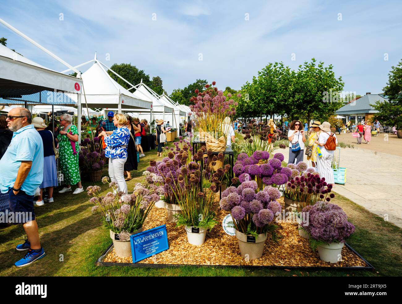 Stalls and displays of alliums at the RHS Wisley Flower Show supported