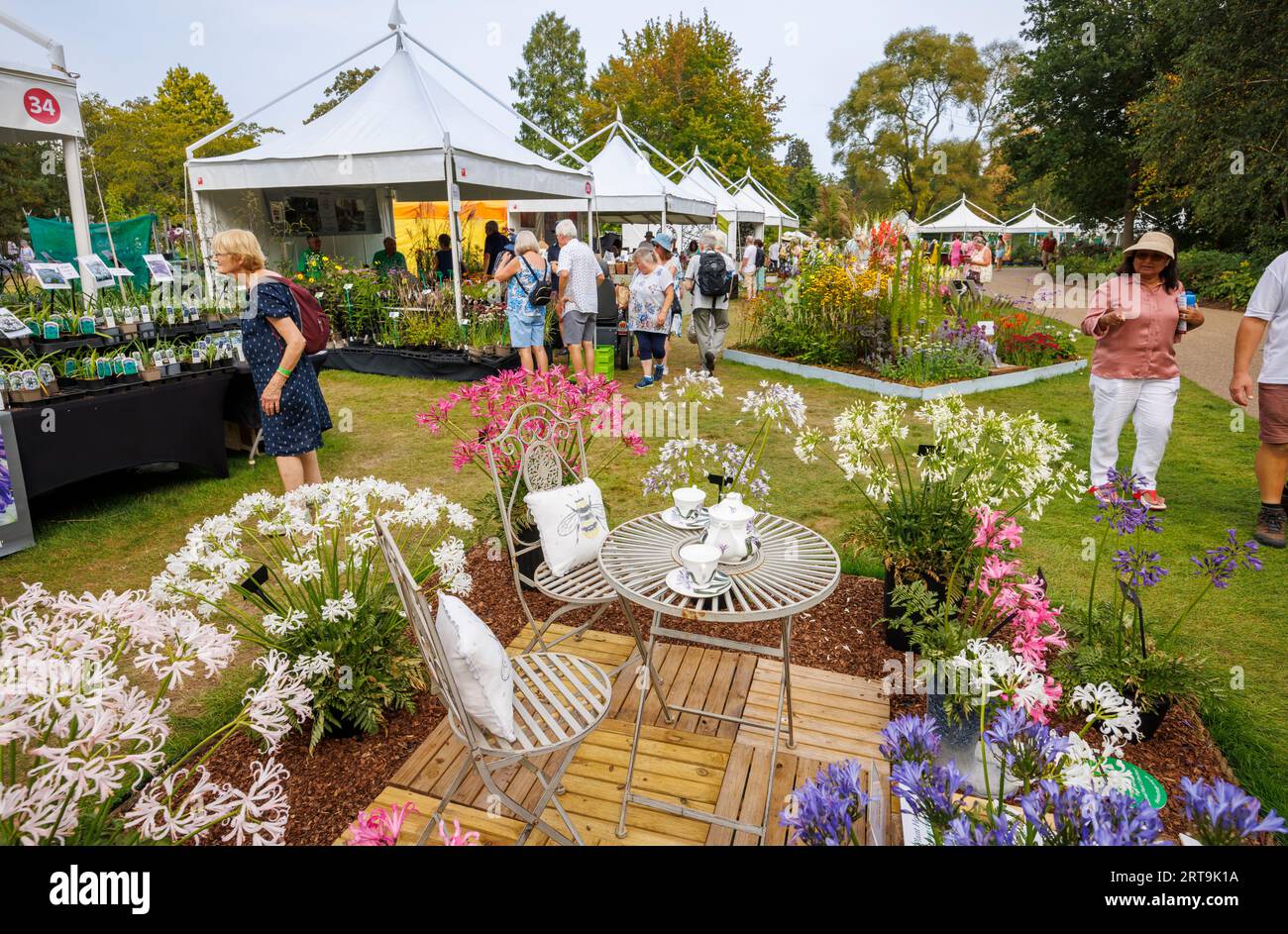 Stalls and agapanthus display at the RHS Wisley Flower Show supported