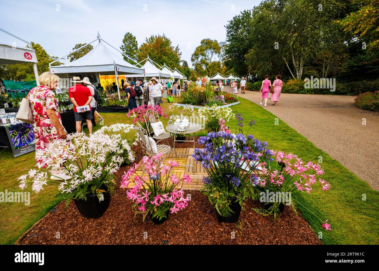 Stalls and agapanthus display at the RHS Wisley Flower Show supported