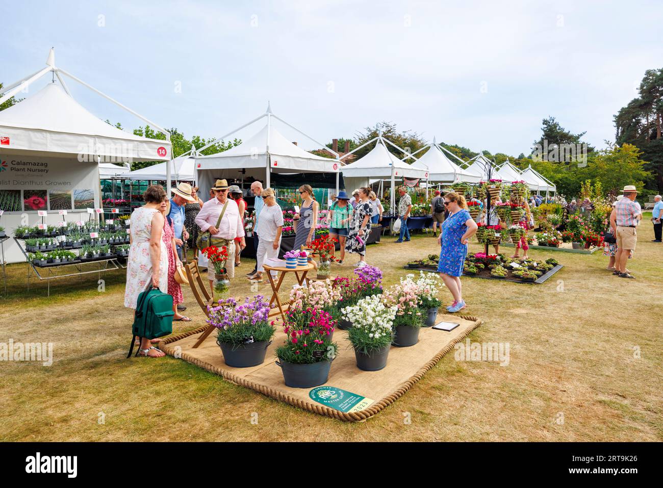Stalls and display of colourful carnations at the RHS Wisley Flower