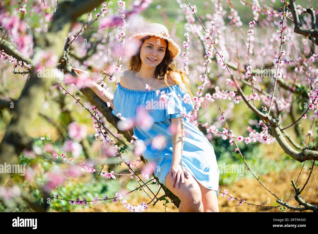 Portrait of an attractive girl in blue dress and hat in blooming peach garden Stock Photo