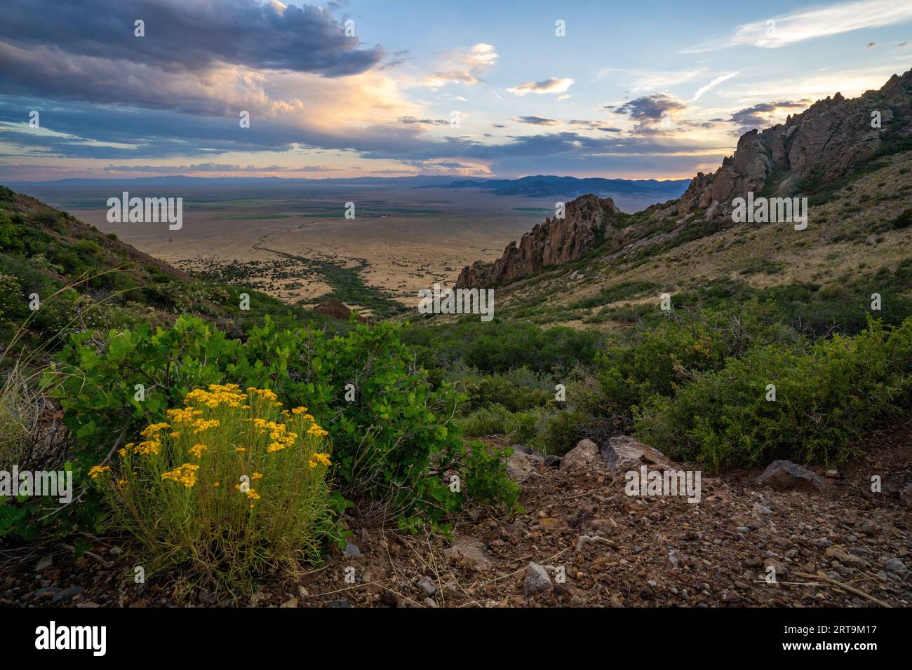 Orient land trust hires stock photography and images Alamy
