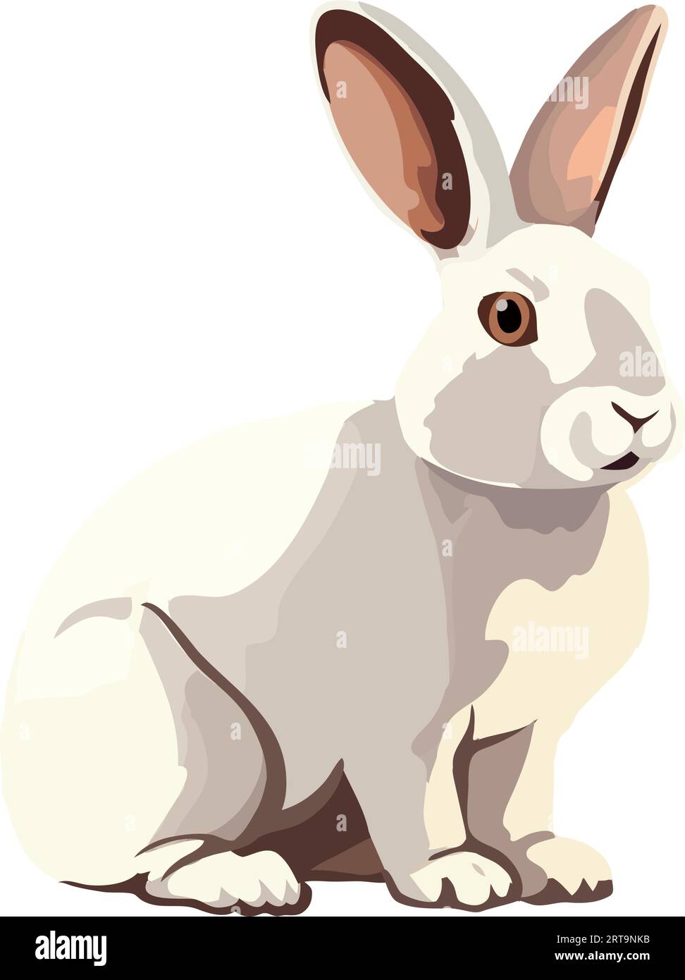 Cute rabbit sitting, fluffy and small, isolated on white background ...