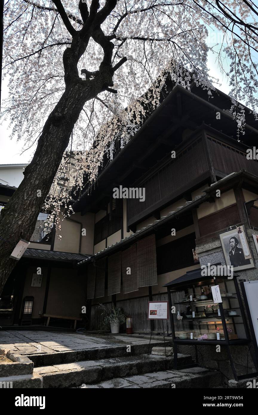 An upscale traditional restaurant during the cherry blossom season in the old town, Kyoto JP Stock Photo