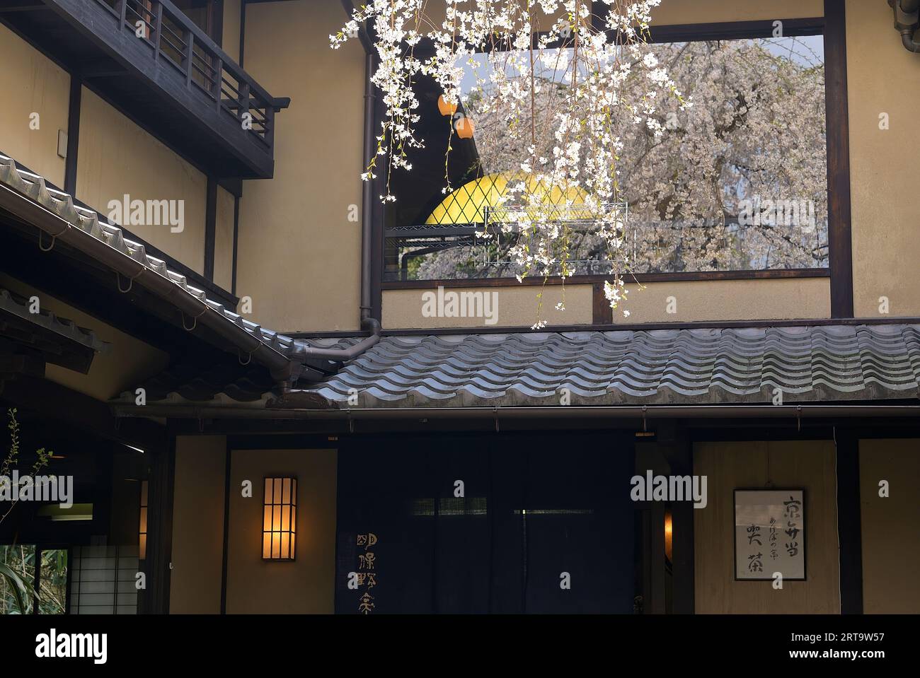 An upscale traditional restaurant during the cherry blossom season in the old town, Kyoto JP Stock Photo