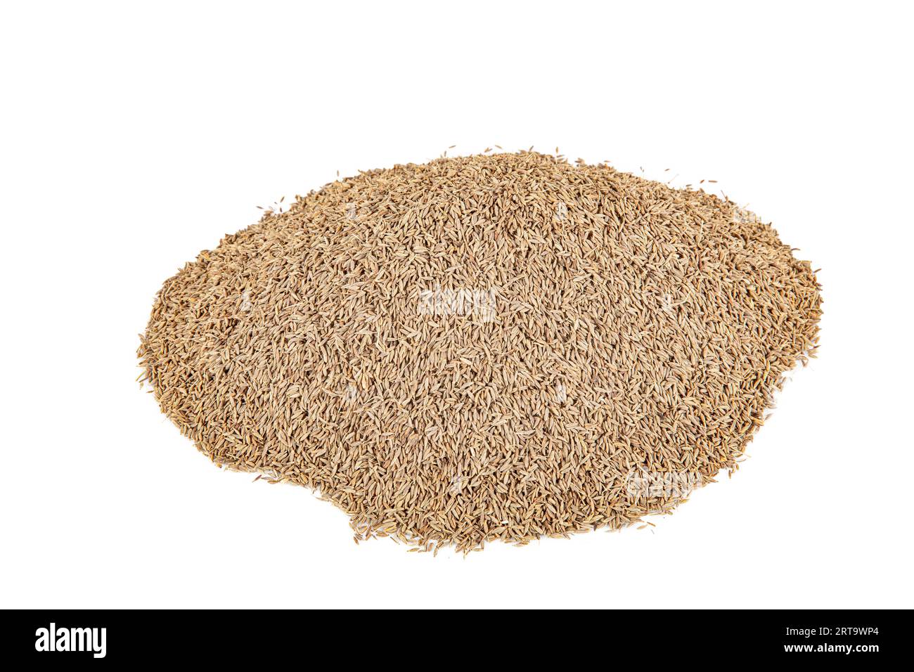 Fennel Powder and Fennel seeds, South Indian Cooking Ingredient, masala, spices. A full of