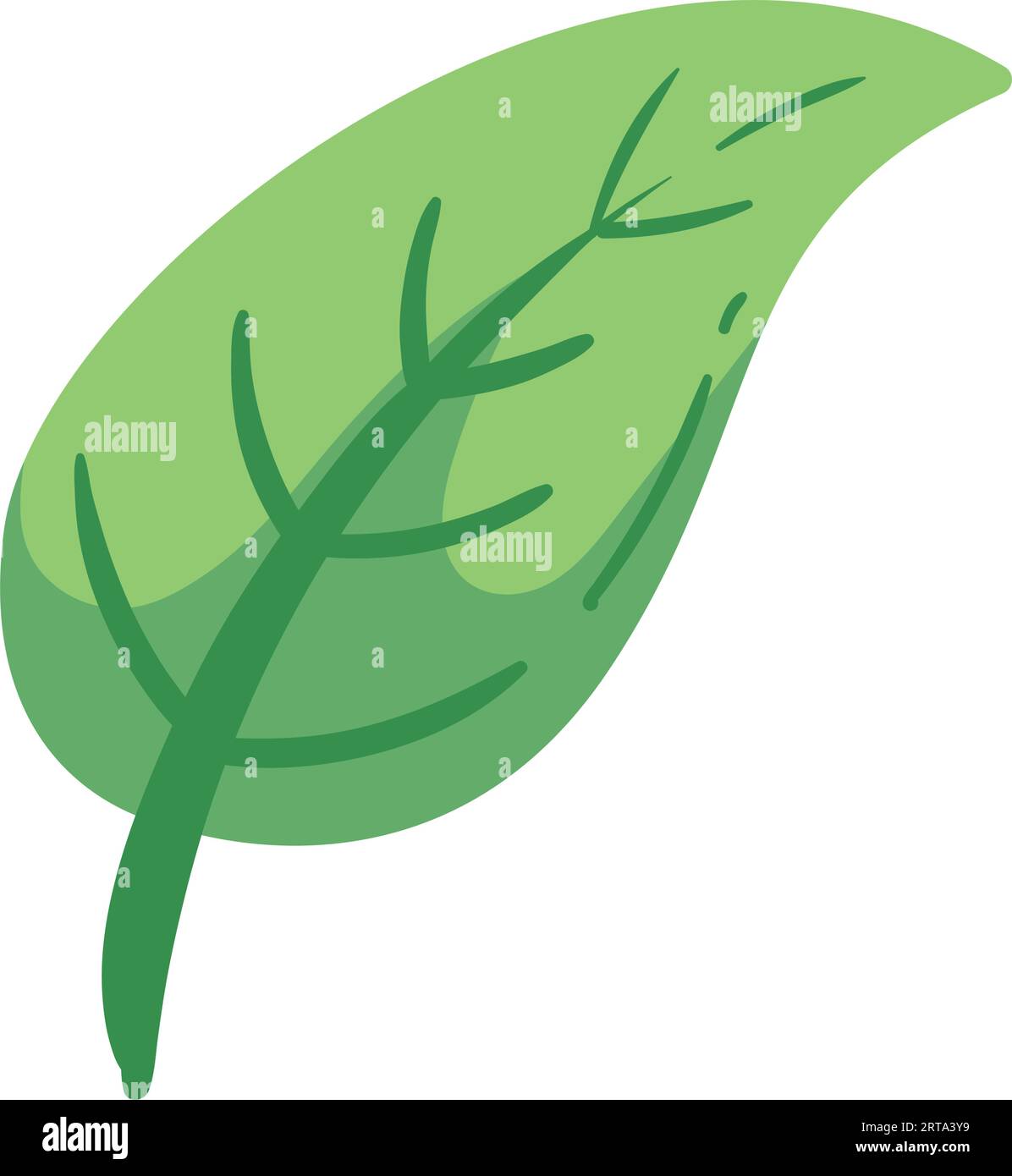 green leaf illustration Stock Vector Image & Art - Alamy