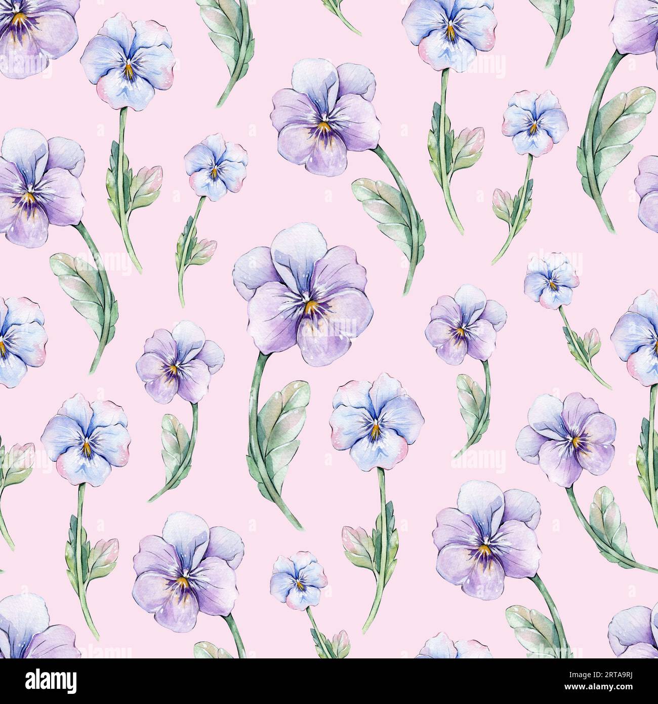 Seamless pansy flower pattern hi-res stock photography and images - Alamy