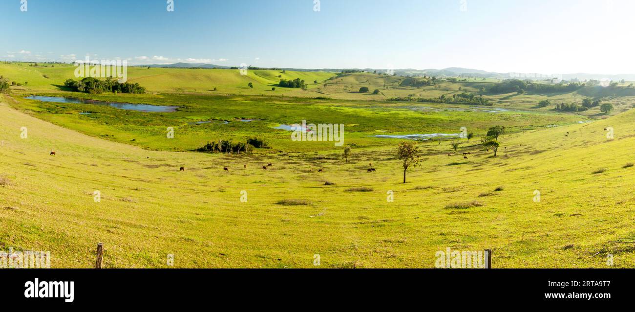 Bromfield Swamp, Bromfield Crater, Panorama, Shallow crater of extinct