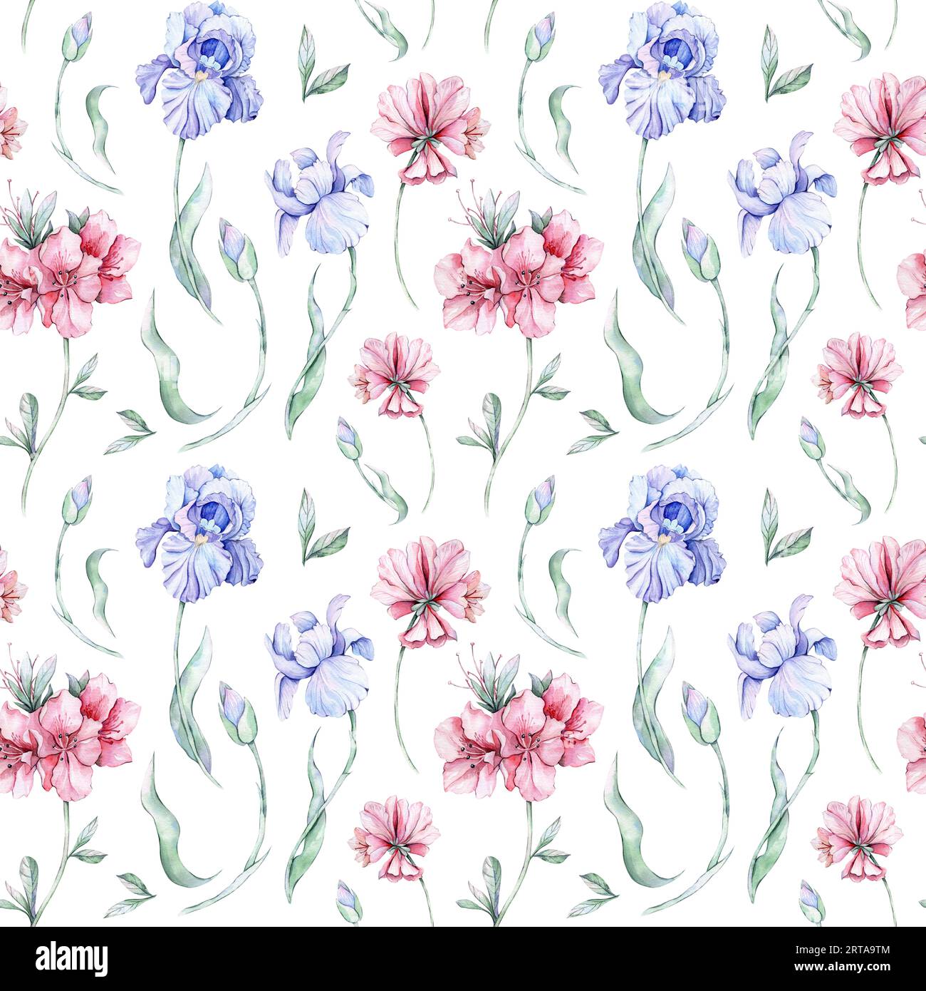 Seamless pattern with flowers. Watercolor illustration. Irises Stock ...