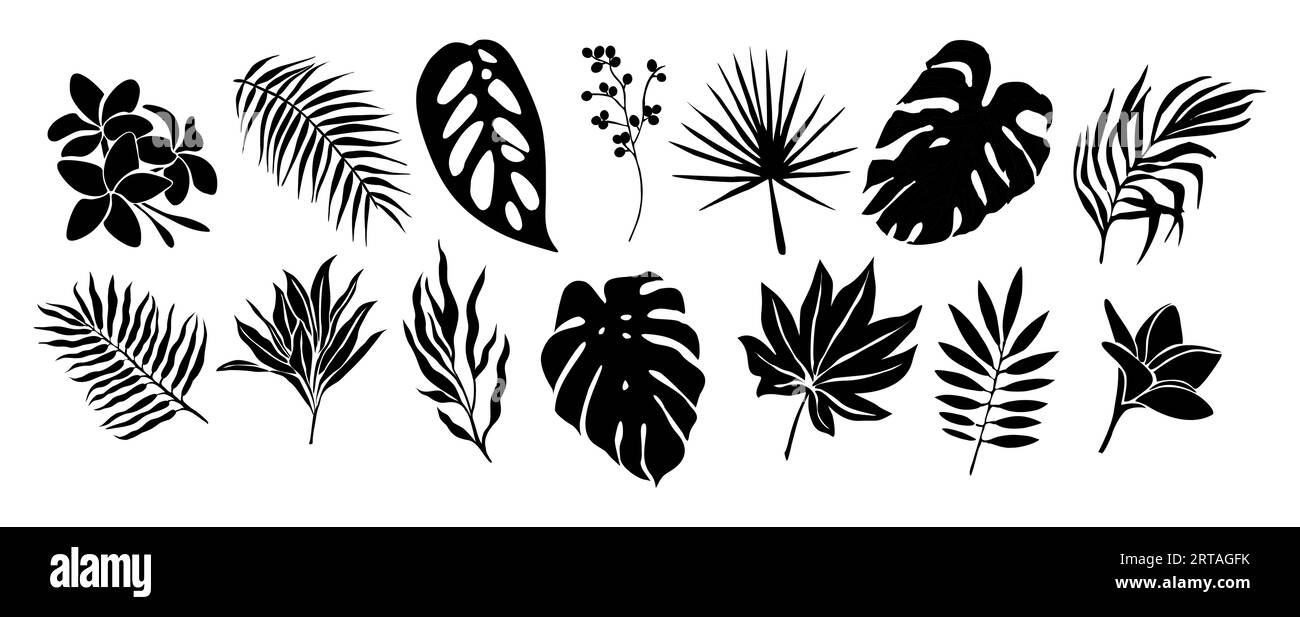Set of black silhouettes of tropical leaves vector Stock Vector Image ...