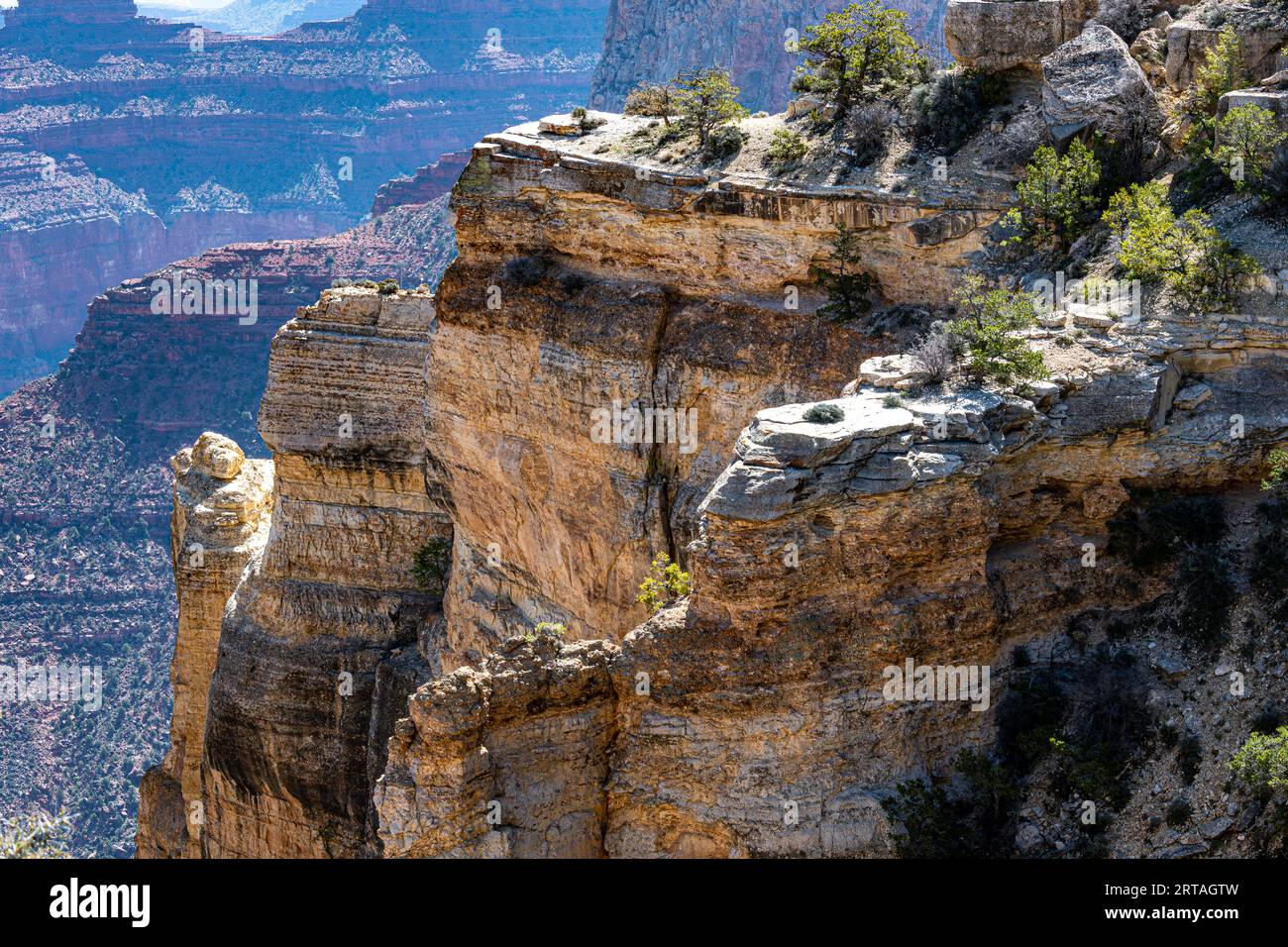 South Rim of the Grand Canyon in Springtime Stock Photo - Alamy
