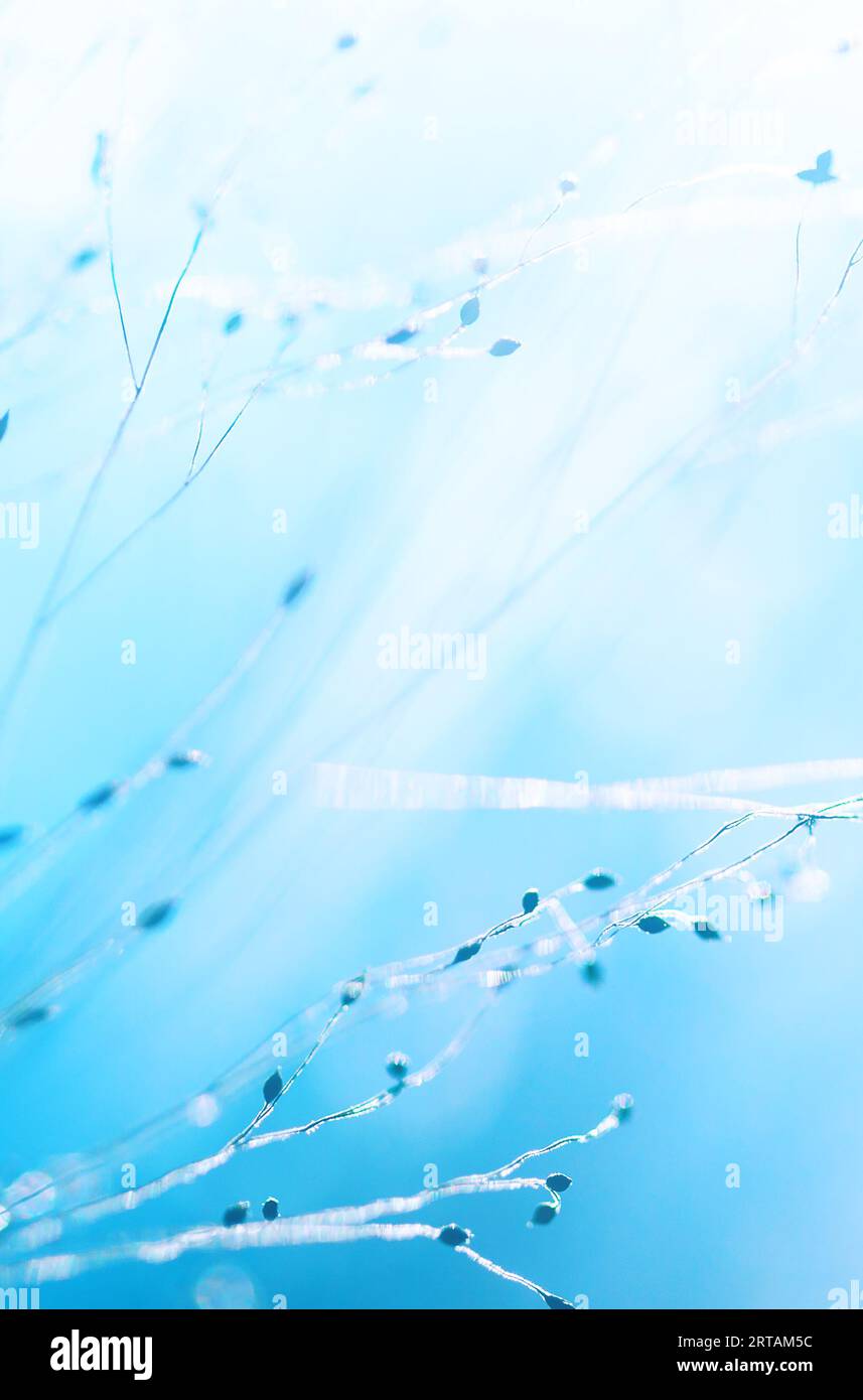 Soft texture hi-res stock photography and images - Alamy
