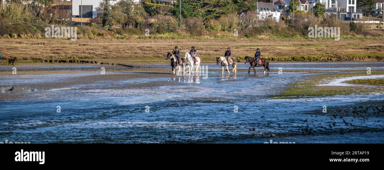 A panoramic image of horse riders riding along the Gannel River in
