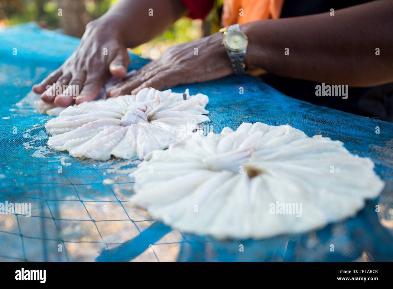 Thailand woman fishing hi-res stock photography and images - Alamy