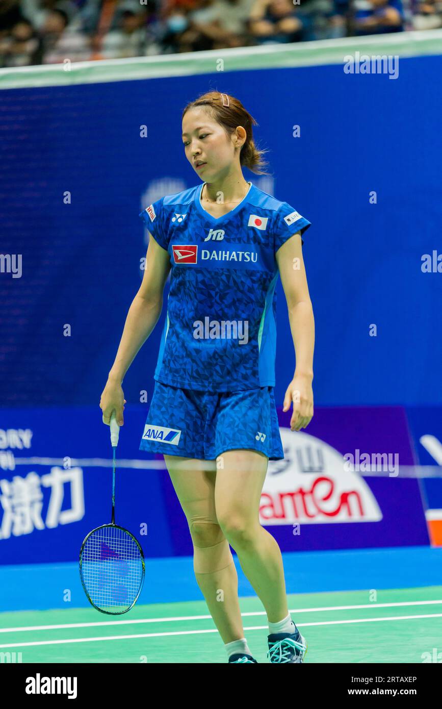 Chinese badminton players Chen Qingchen, Jia Yifan defeat Japanese