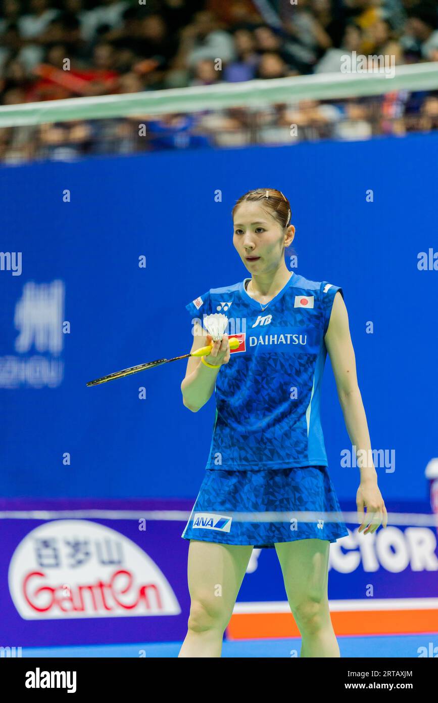 Chinese badminton players Chen Qingchen, Jia Yifan defeat Japanese ...