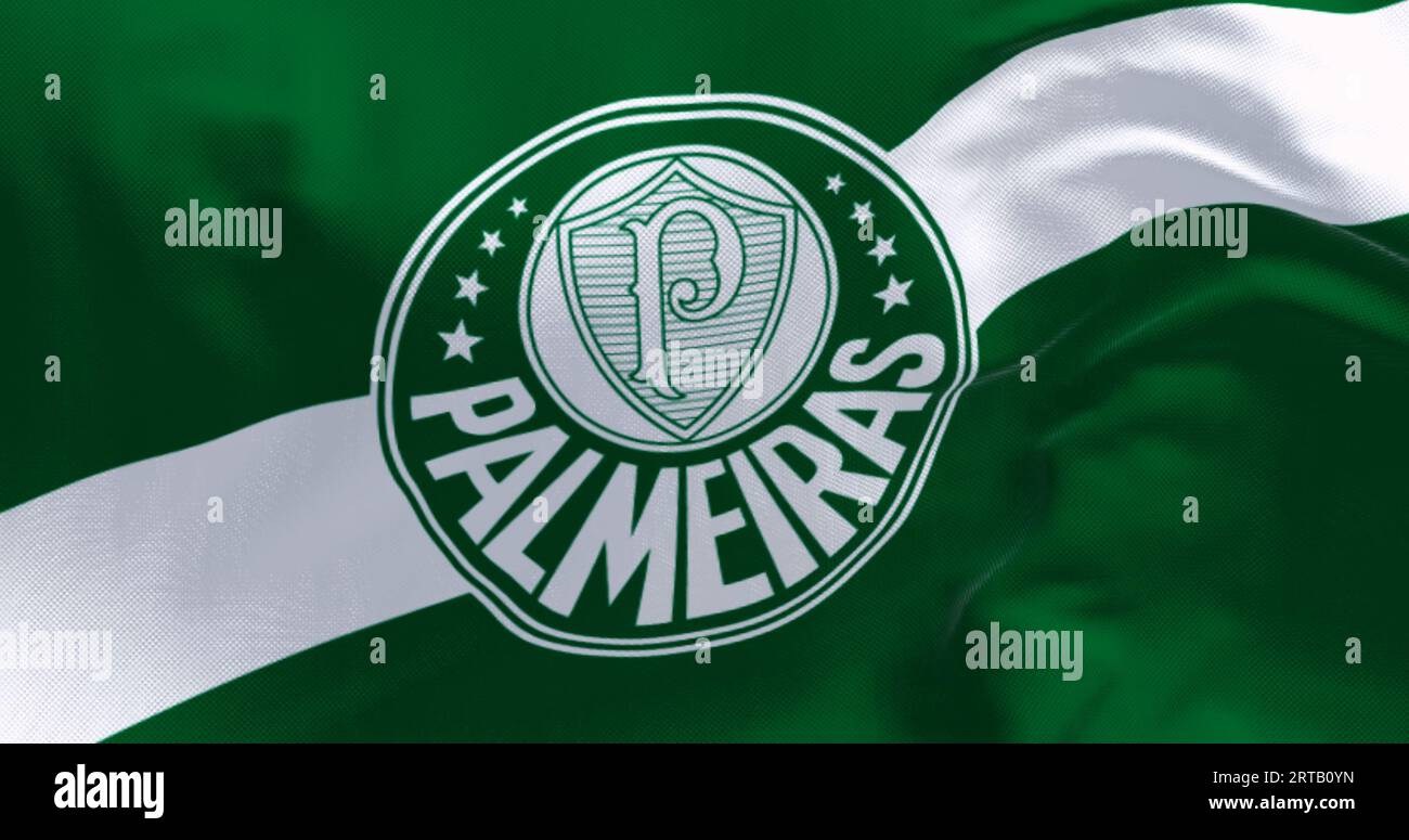 Of brazilian team palmeiras hi-res stock photography and images