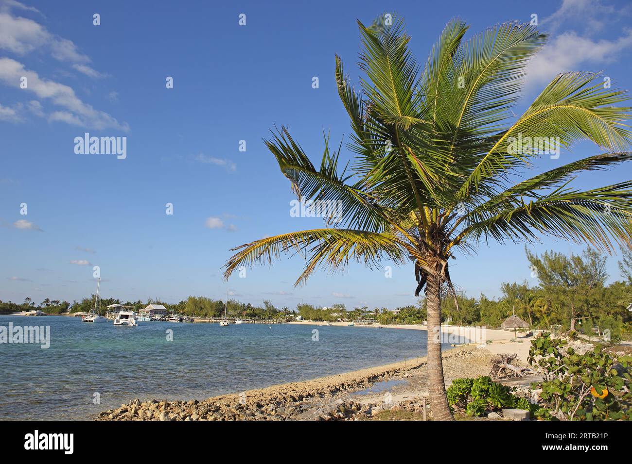 Beach, Little Harbour, Great Abaco, Bahamas Stock Photo Alamy
