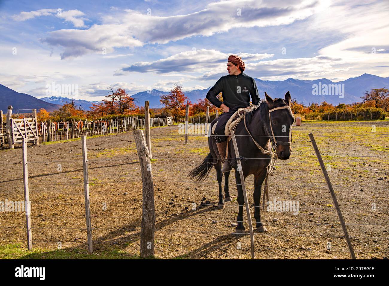 A gaucho cowboy on horseback in front of autumn colored trees on a ranch in Argentina, Patagonia, South America Stock Photo