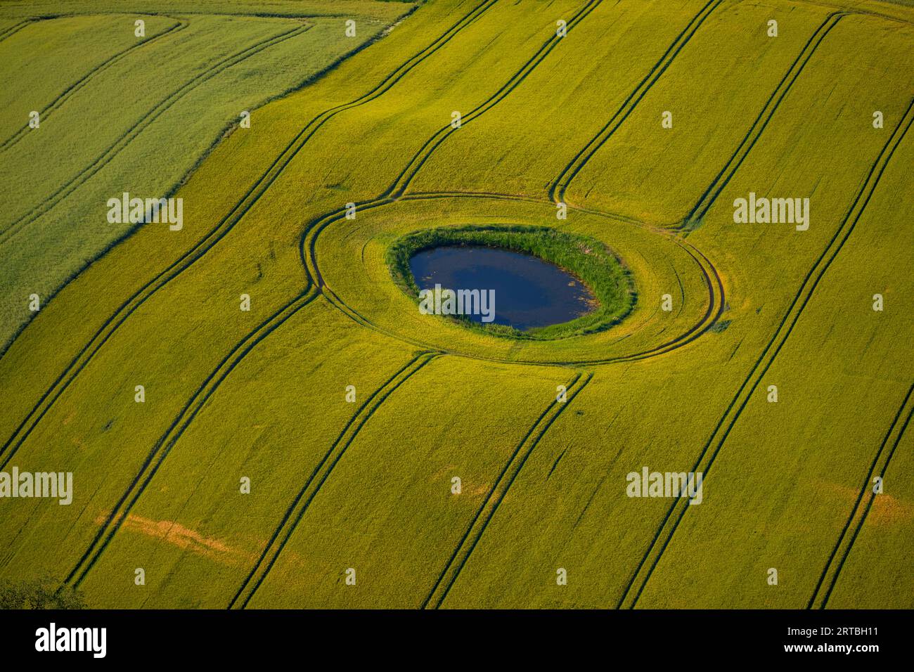 kettle hole in field landscape, aerial view, Germany, Mecklenburg-Western Pomerania Stock Photo