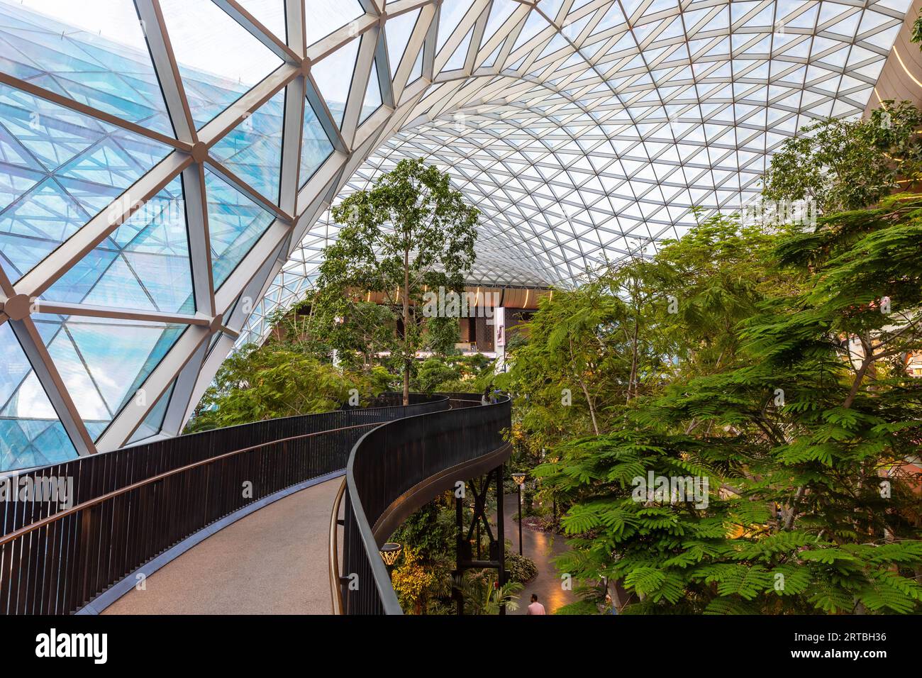 The Orchard, Doha Airport's Indoor Tropical Garden at Doha Hamad International Airport, Qatar Stock Photo