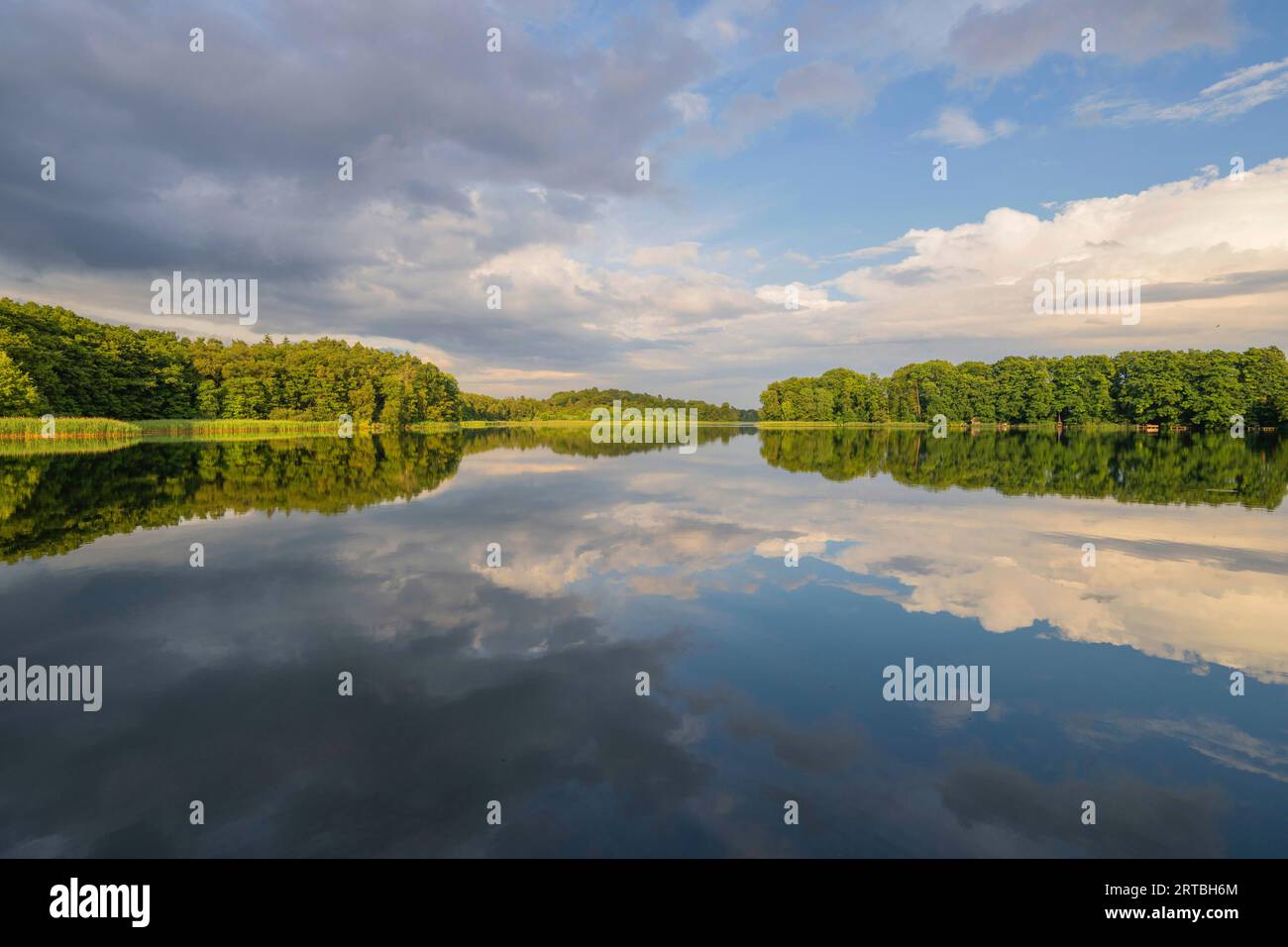 lake Priestersee, Germany, Mecklenburg-Western Pomerania ...