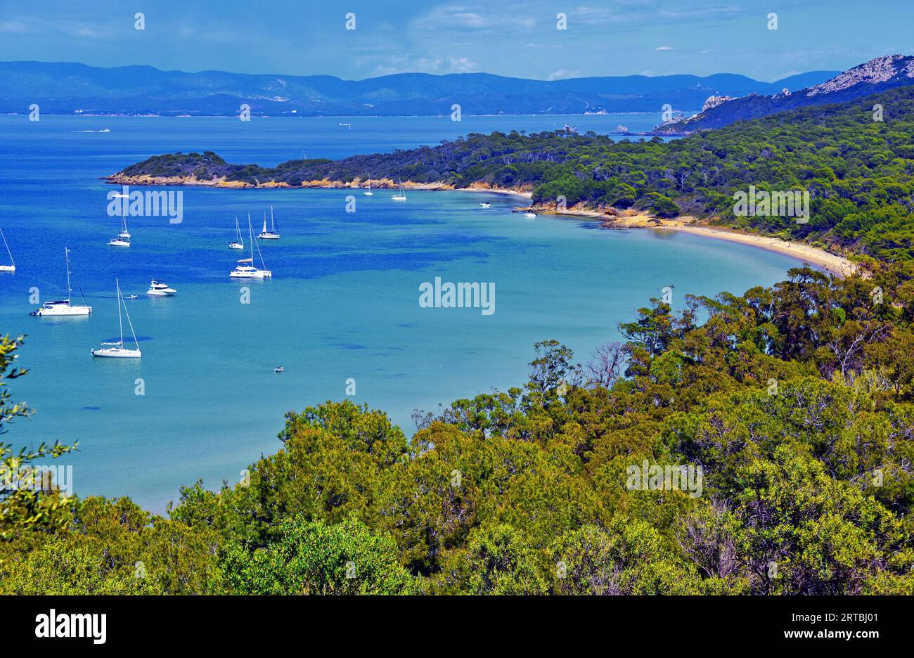 north east coast of the island of Porquerolles, bay of Notre Dame, France, Provence, Hyeres, Ile de Porquerolles Stock Photo