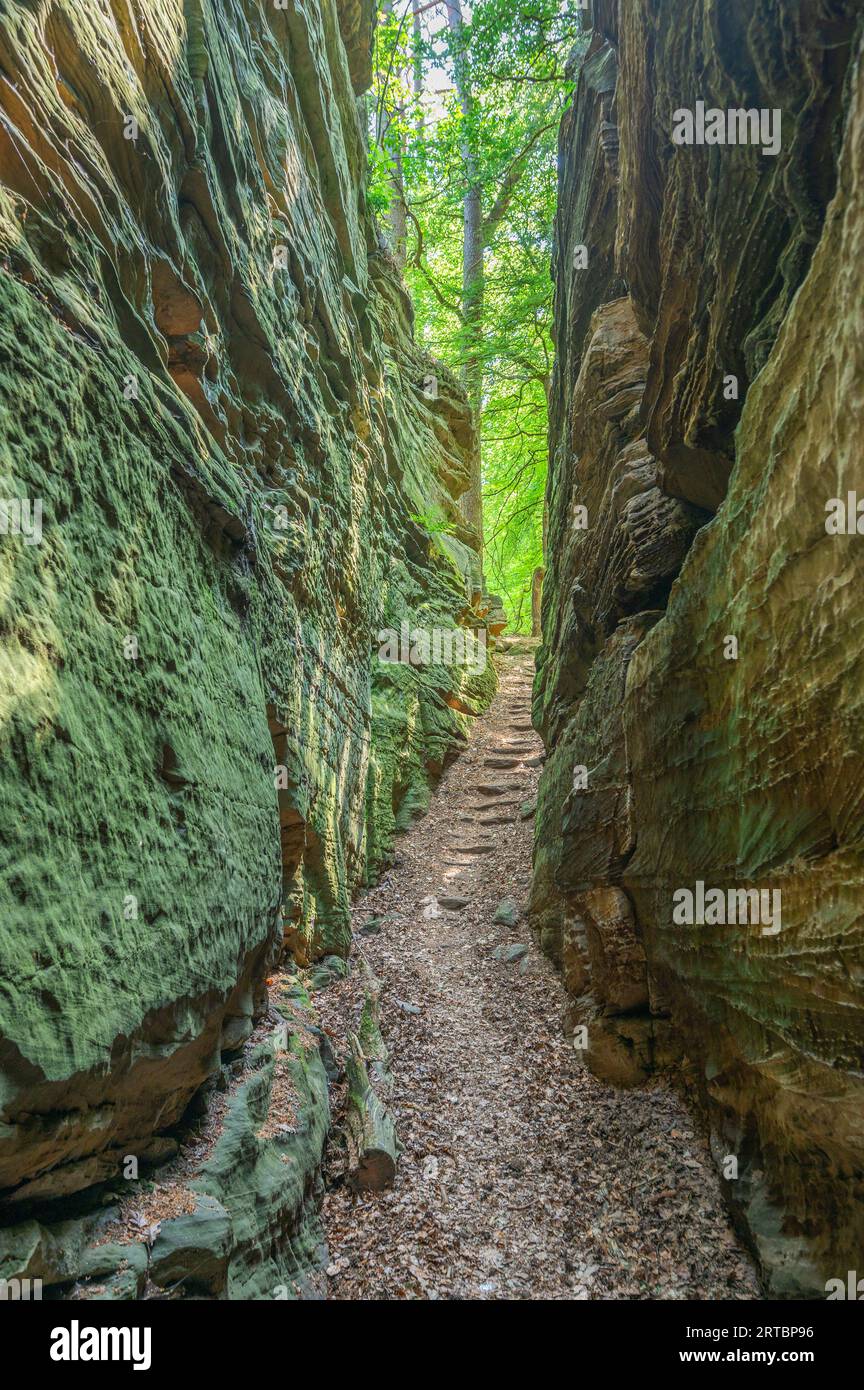 Rocks of the Green Hell near Bollendorf an der Sauer, Sauertal, Bollendorf, Eifel, Rhineland-Palatinate, Germany Stock Photo