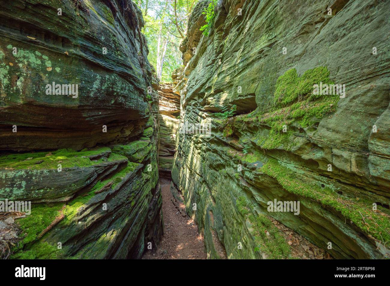 Rocks of the Green Hell near Bollendorf an der Sauer, Sauertal, Bollendorf, Eifel, Rhineland-Palatinate, Germany Stock Photo