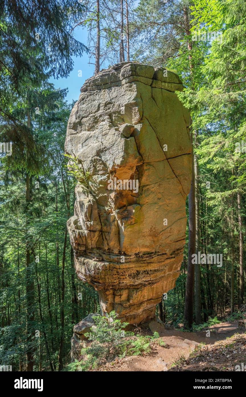 Rock of the Predigt chair of the Green Hell near Bollendorf an der Sauer, Sauertal, Bollendorf, Eifel, Rhineland-Palatinate, Germany Stock Photo