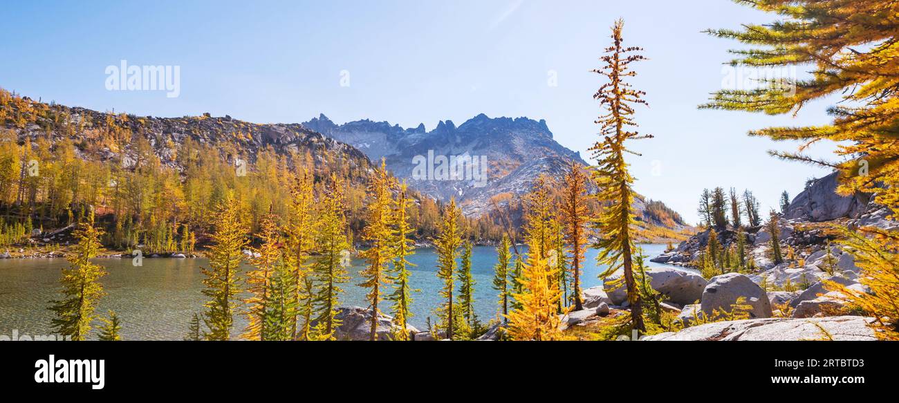Larch trees enchantment lakes hi-res stock photography and images - Alamy