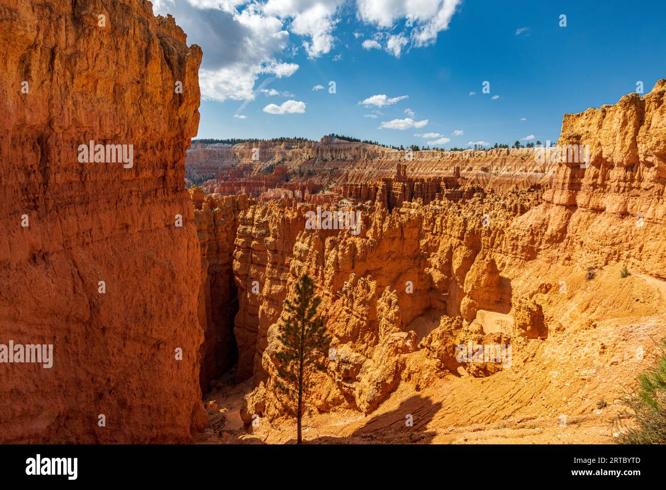 Hiking through the Bryce Canyon Ampitheater reveals many HooDoo's and other beautiful sites Stock Photo